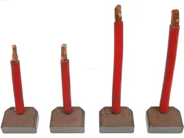 szczotki-rozrusznika-as-pl-sb5021