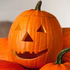 dynia-zwyczajna-howden-nasiona-warzyw-duze-owoce-idealne-na-halloween