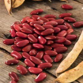 fasola-na-suche-nasiona-kreacja-nasiona-warzyw-pozna-pelne-ziarna