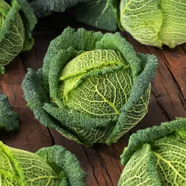 kapusta-glowiasta-wloska-blistra-f1-nasiona-warzyw-pozna-na-golabki