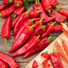 papryka-rokita-swieze-nasiona-warzyw-papryki-wczesna-lekko-ostry-smak