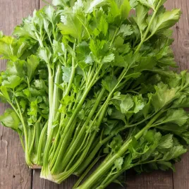 seler-listkowy-green-cutting-aromatyczne-delikatne-liscie-nasiona-selera
