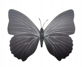 magnes-motyl-3d-ozdobny-na-lodowke-m59-czarny