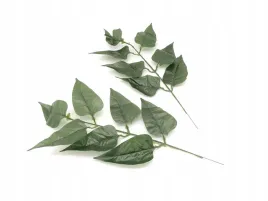 liscie-ozdobne-lisc-galazka-dekoracyjne-kwiaty