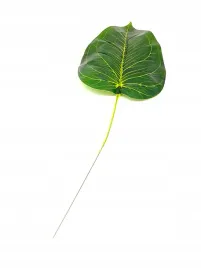 liscie-ozdobne-lisc-galazka-dekoracyjne-kwiaty