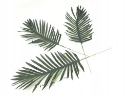 liscie-ozdobne-lisc-galazka-dekoracyjne-kwiaty