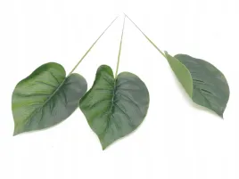 liscie-ozdobne-lisc-galazka-dekoracyjne-kwiaty