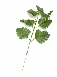 liscie-ozdobne-lisc-galazka-dekoracyjne-kwiaty