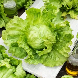 salata-krucha-beata-sredniowczesna-zielona-szybki-wzrost-nasiona-salaty