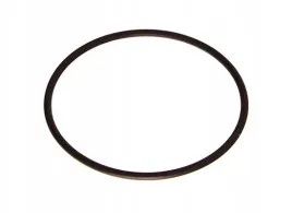 oring-przepustnicy-fiat-iveco-mot-f1a