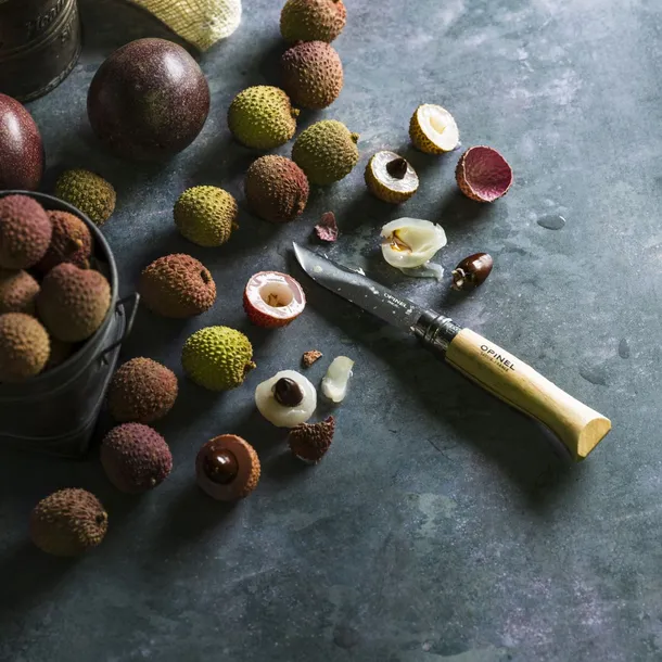 noz-turystyczny-opinel-material-rekojesci-drewno