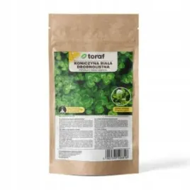 koniczyna-biala-drobnocebulowa-nasiona-roslin-gesta-zielona-darn