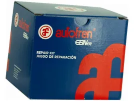 zestaw-naprawczy-cylinderek-autofren-seinsa-d3573