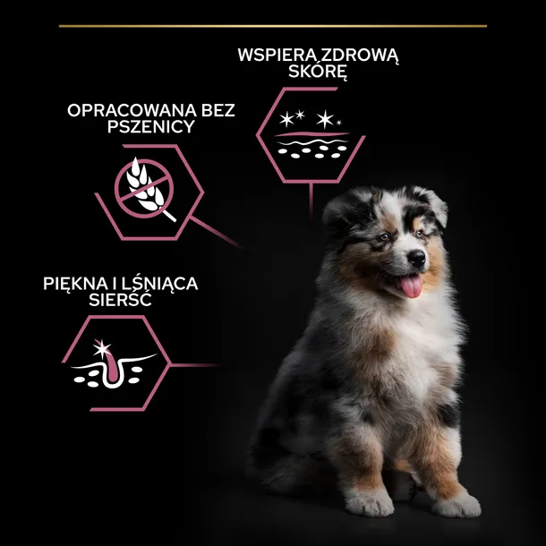 purina-pro-plan-puppy-medium-salmon-12kg-liczba-sztuk-w-opakowaniu-1-szt