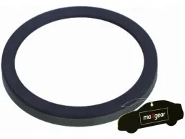 pierscien-abs-tyl-citroen-c5-iii-1-6-3-0-08-14-i-1-6-2-9-01-08-zapach