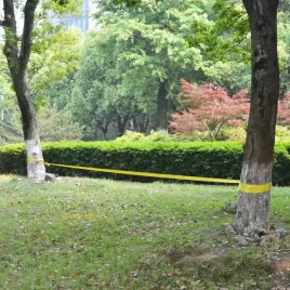 vidaxl-tasma-do-slackliningu-15-m-x-50-mm-150-kg-zolta