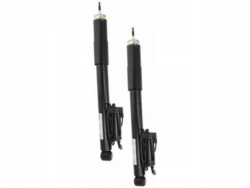 amortyzatory-tyl-bilstein-20-101893