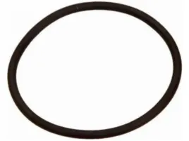 uszczelka-termostatu-bmw-3-e30-e36-5-e34-e39-7-e38-z3-e36-opel-omega-b