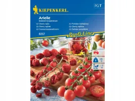 pomidor-cherry-koktajlowy-arielle-czerwony-nasiona-kiepenkerl