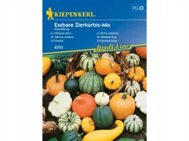 dynia-jadalna-ozdobna-essbare-zierkurbis-mix-mieszanka-dyn-nasiona