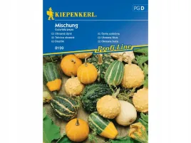 dynia-ozdobna-mieszanka-dyn-nasiona-kiepenkerl