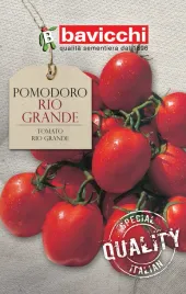 pomidor-rio-grande-odporny-i-bardzo-plenny-nasiona-bavicchi