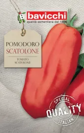 pomidor-scatolone-smaczna-ceniona-odmiana-nasiona-bavicchi