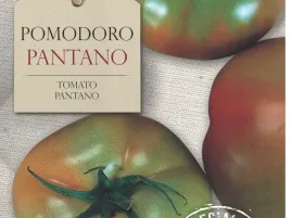 pomidor-pantano-wyjatkowo-smaczny-nasiona-bavicchi