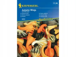 dynia-ozdobna-autumn-wings-kolorowe-dynie-nasiona-kiepenkerl