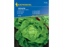 salata-glowiasta-attraktion-nasiona-salaty-kipenkerl