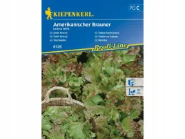 salata-karbowana-amerikanischer-brauner-pozna-salata-nasiona