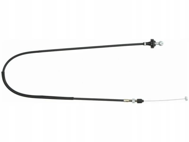 ciegno-gazu-linex-11-20-01