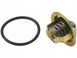 termostat-mitsubishi-lancer-viii-2-0-grandis-2-0
