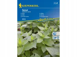 mieta-koreanska-seoul-anyzowy-zapach-nasiona-miety-kiepenkerl