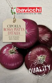 cebula-rossa-piatta-d-italia-lagodna-czerwona-nasiona