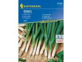 czosnek-dety-kaigaro-cebula-siedmiolatka-nasiona-kiepenkerl