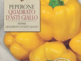papryka-quadrato-d-asti-giallo-zolta-slodka-nasiona-bavicchi