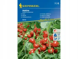 pomidor-salatkowy-matina-slodki-nasiona-pomidora-kiepenkerl