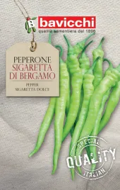 papryka-sigaretta-di-bergamo-zielona-nasiona-bavicchi