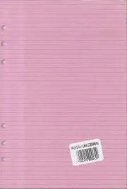 wklad-do-organizera-a5-linia-czerwona-antra