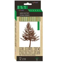 olowek-szesciokatny-hb-2h-cedrlove-12szt-mix