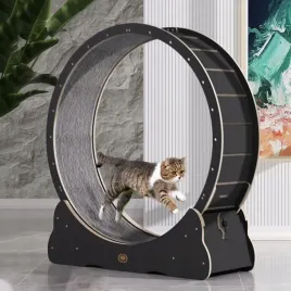 canadian-cat-or-bieznia-dla-kota-l-or-black-edition-or-czarna