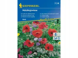 laka-kwietna-dla-owadow-pozytecznych-nasiona-kwiatow-przyjaznych-owadom