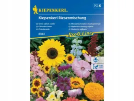 mieszanka-kwiatow-wysokich-kwiatowy-mix-do-ogrodu-nasiona