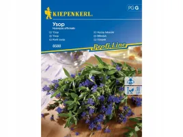 hyzop-lekarski-niebieskie-kwiaty-nasiona-kiepenkerl-roslina-lecznicza