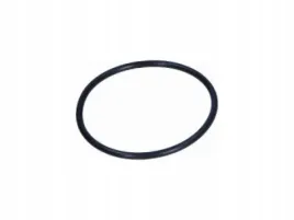 uszczelka-pompy-podcisnienia-citroen-c4-grand-spacetourer-1-6-ds5-1-6