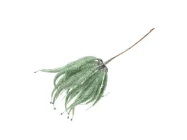 dekoracja-galazka-ozdobna-58-cm-1-szt
