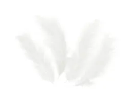 piorka-dekoracyjne-biale-dlugie-50-szt