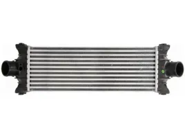 intercooler-nrf-30976