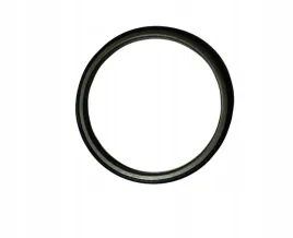 pierscien-magnetyczny-abs-iveco-przod-2009-5801341526